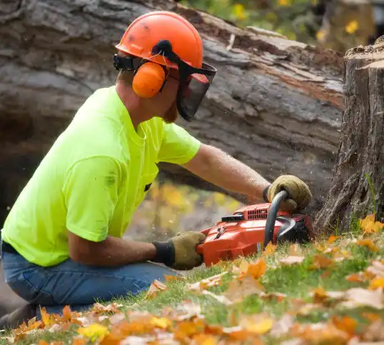 tree services Randall